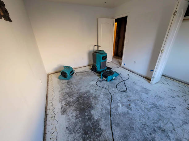 Best Carpet water damage restoration  in Freeport, TX