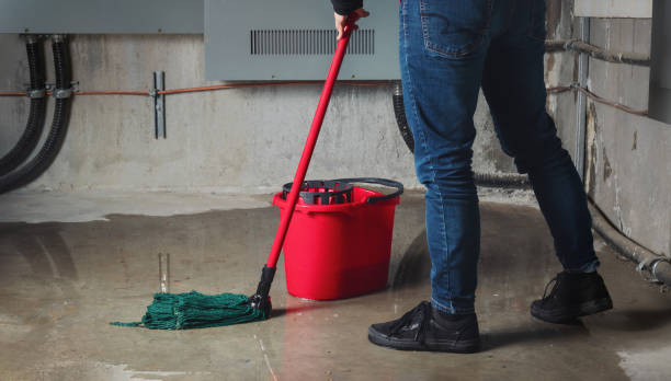Best Residential water damage restoration  in Freeport, TX