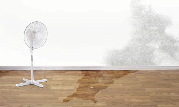 Best 24-hour water damage restoration  in Freeport, TX