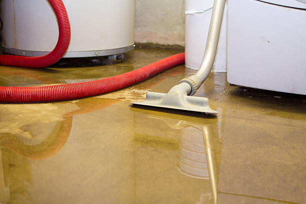 Best Flooded house restoration  in Freeport, TX