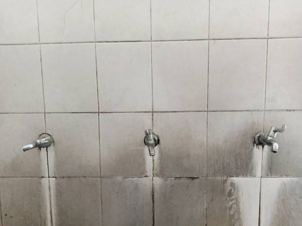 Best Ceiling water damage repair  in Freeport, TX